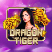 Dragon Tiger - 365 Login